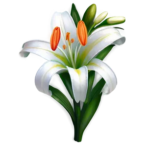 Easter Lily Clipart Png 06262024 PNG image