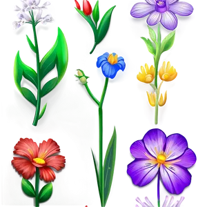 Easy Floral Illustration PNG Clq PNG