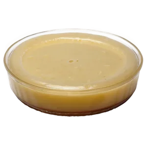 Easy Homemade Flan Guide Png 06132024 PNG image