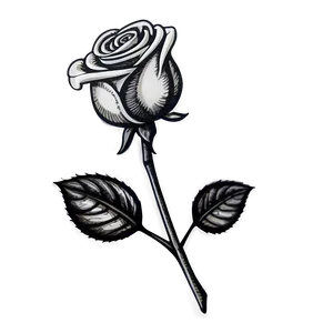 Easy Rose Sketch PNG 35 PNG
