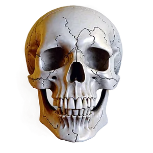 Easy Skull Outline PNG 22