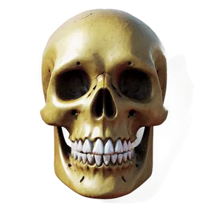 Easy-to-draw Skull Png 06282024 PNG image