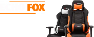 Echo Fox Gaming Chair Promotion