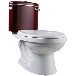 Eco-friendly Dual Flush Toilet Png 05042024 PNG image