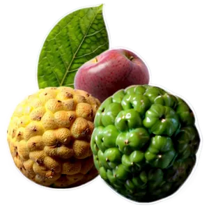 Eco-friendly Fruit Set PNG Xhs