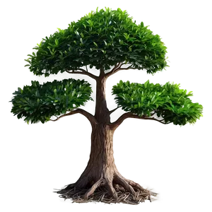 "eco-friendly Green Tree PNG" 04302024
