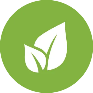 Eco Friendly Leaf Icon PNG image