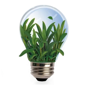 Eco-friendly Lightbulb Png 27 PNG image