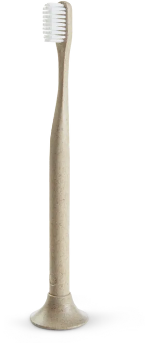 Eco Friendly Toothbrush Standing PNG