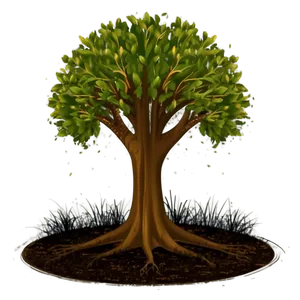 Eco-friendly Tree Elevation PNG 79 PNG