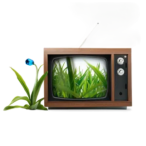 Eco-friendly Tv PNG See