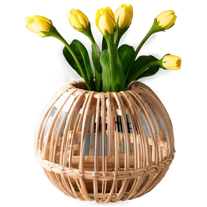Eco-friendly Vase PNG 05252024 PNG