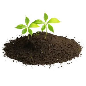Eco Garden Dirt Texture PNG 16