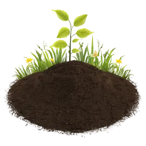 Eco Garden Dirt Texture PNG 97