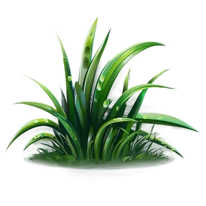 Eco Grass Clipart PNG 06272024 PNG