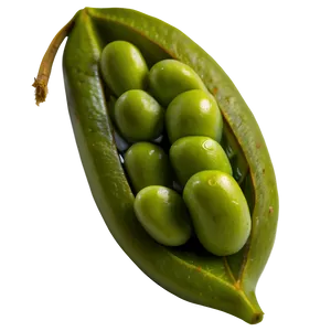 Edamame Bean PNG 96 PNG