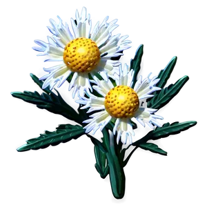 Edelweiss Mountain Flower PNG 14