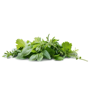 Edible Herb PNG Tbf