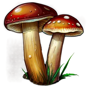 Edible Mushroom Png 05032024 PNG image