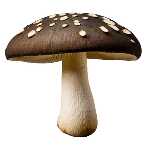 Edible Mushroom Png Ikv66 PNG image