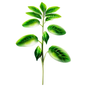 Edible Plant PNG Lbb