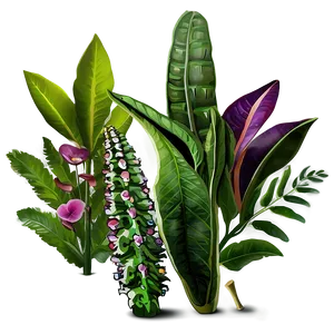Edible Plants PNG Jvw56