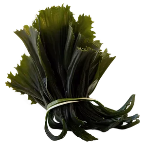 Edible Seaweed Product PNG 05242024
