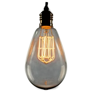 Edison Bulb Light Fixture PNG 06262024 PNG