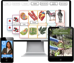 Educational Interactive Learning Platforms PNG image