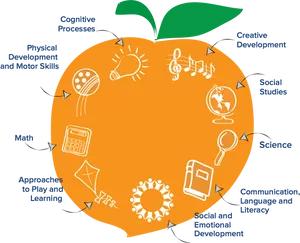 Educational Peach Infographic PNG image