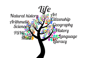 Educational Subjects Brain Tree PNG image