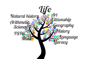 Educational Subjects Tree Concept
