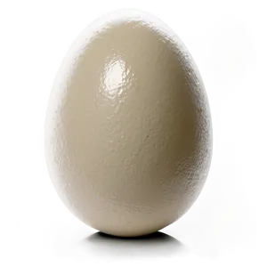 Egg B PNG image