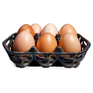 Egg Basket PNG Vle