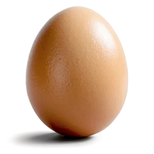 Egg C PNG image