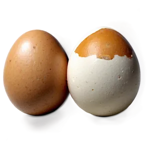Egg Cartoon Png 66 PNG image