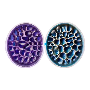 Egg Cells Visual PNG 52 PNG