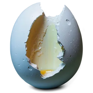 Egg Crack Opening PNG 49 PNG