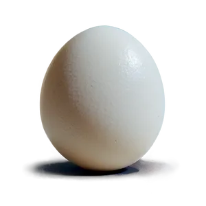 Egg Drawing PNG 05242024