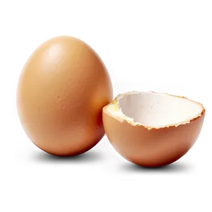 Egg Illustration PNG Eeg