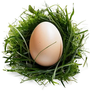 Egg In Grass Png 05042024 PNG image