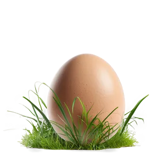 Egg In Grass Png 76 PNG image
