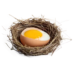 Egg In Nest Png 05042024 PNG image