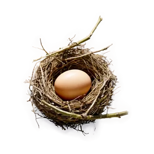 Egg In Nest PNG 05242024