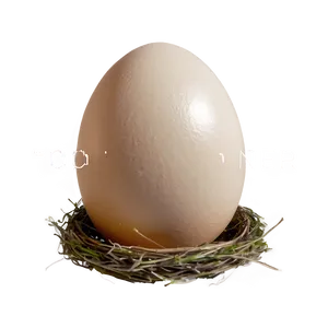Egg In Nest PNG Jfp