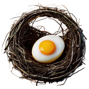 Egg In Nest PNG Wjr56