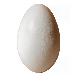 Egg Shell Png 05042024 PNG image
