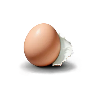 Egg Shell Png 05042024 PNG image