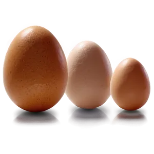 Egg Silhouette Png 05042024 PNG image