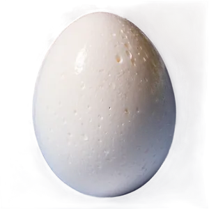 Egg White PNG 05242024